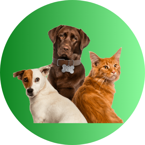 Pets